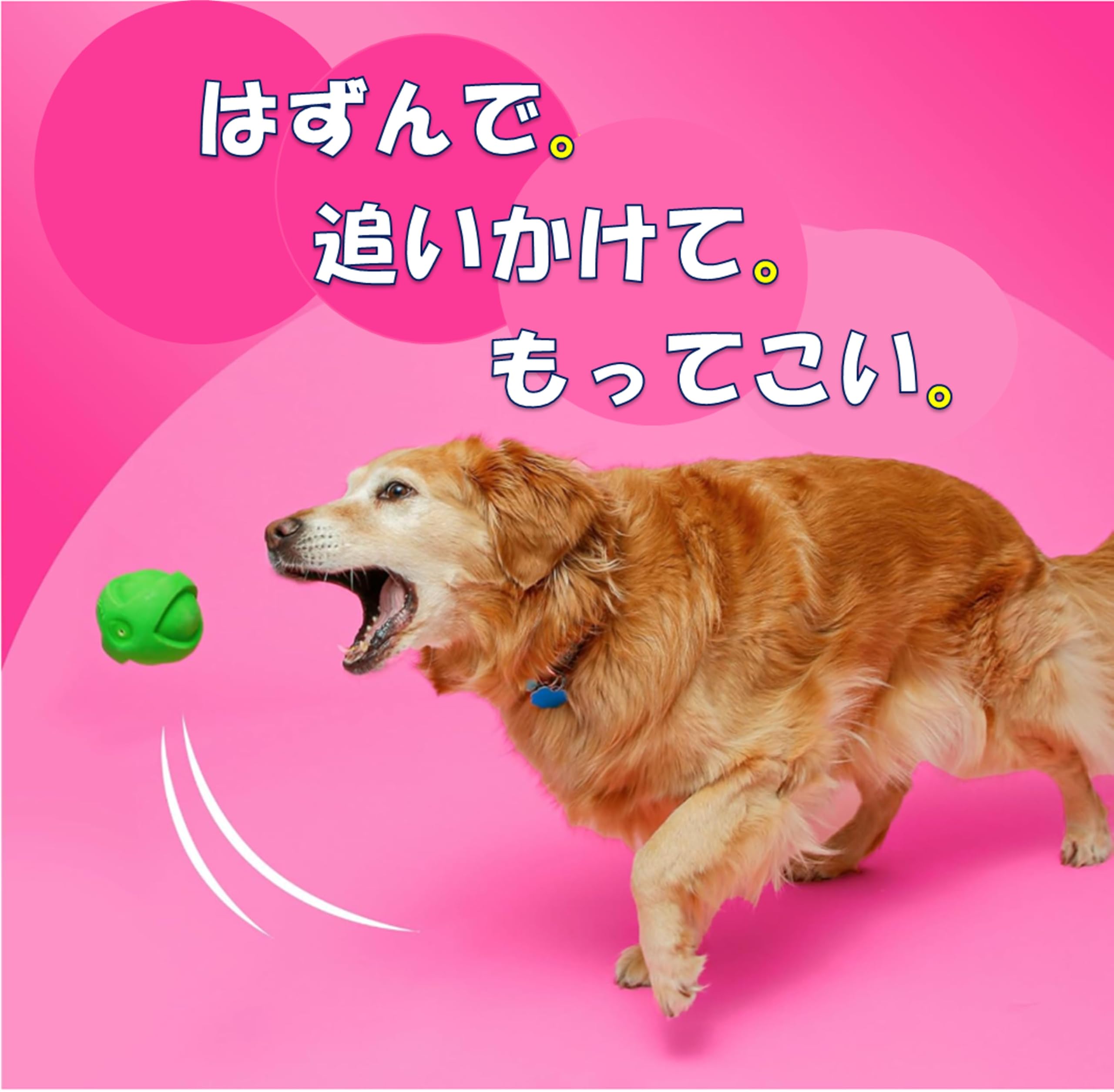 Hartz デュラプレイボール Sサイズ レッド 48個入り Amazon | ハーツ (Hartz) デュラプレイ ボール Sサイズ 3色セット 犬用
